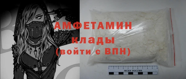 сатива Гусь-Хрустальный