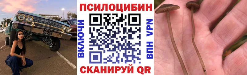 наркошоп  Щучье  Галлюциногенные грибы прущие грибы 