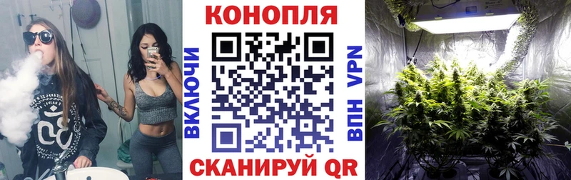 хочу   Щучье  ОМГ ОМГ   Бошки Шишки гибрид 